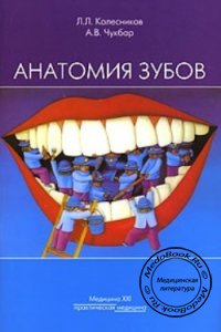 Анатомия зубов, Колесников Л.Л., Чукбар А.В., 2007 г.