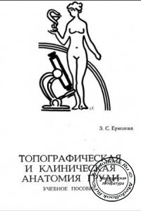 Топографическая и клиническая анатомия груди, Ермолова З.С., 1998 г. 