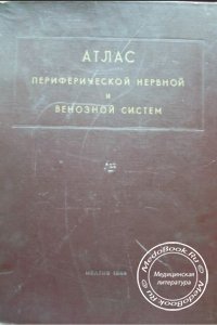 Атлас периферической нервной и венозной систем, Шевкуненко В.Н., 1949 г.