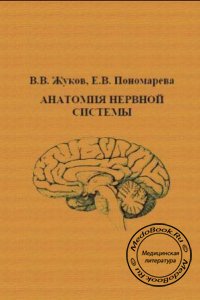Анатомия нервной системы, Жуков В.В., Пономарёва Е.В., 1998 г. 