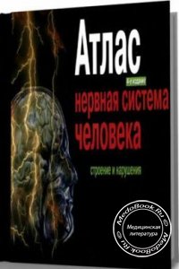 Нервная система человека, Под редакцией В.М. Астапова, Ю.В. Микадзе, 2004 г.