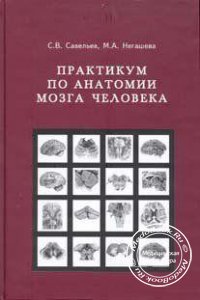 Практикум по анатомии мозга человека, Cавельев С.В., Негашева М.А., 2001 г. 