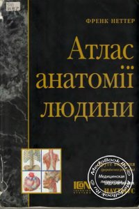 Атлас анатомії людини / Атлас анатомии человека, Френк Неттер, 2004 г.