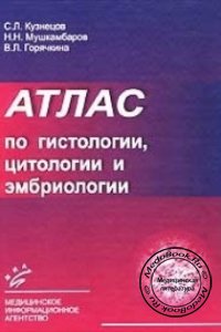 Атлас по гистологии, цитологии и эмбриологии, Кузнецов С.Л., 2002 г.