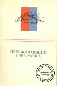 Переживающий срез мозга, Митюшов М.И., 1986 г.