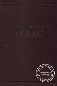 Цистоскопический атлас, Фрумкин А.П., 2008 г.
