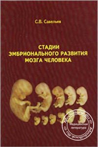 Стадии эмбрионального развития мозга человека, Савельев С.В., 2002 г.