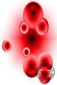Эритробласты: Клетки эритроцитарного ряда