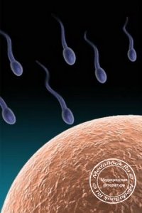 ИИСМ - Искусственная инсеминация спермой мужа