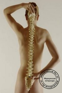 Заболевания спины