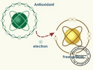 Процесс нейтрализации свободного активного радикала молекулой антиоксиданта
