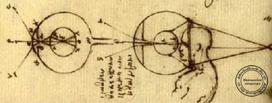 Рисунок Леонардо да Винчи, на котором схематически изображены превые в истории человечества контактные линзы