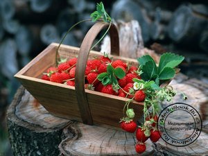 Земляника - полезная ягода