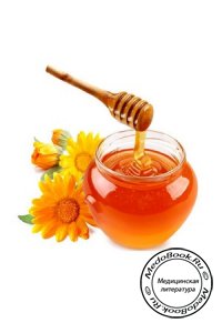 Чем полезен мед и продукты пчеловодства?