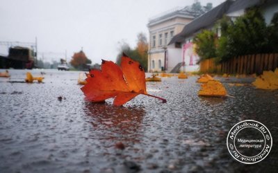 Осенняя погода склоняет к депрессии