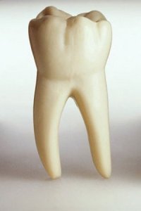 Эрозия твердых тканей зуба