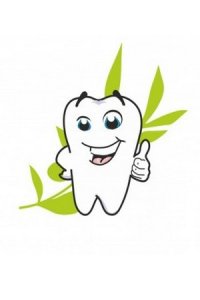 Важность знания строения зубов в норме и при патологии