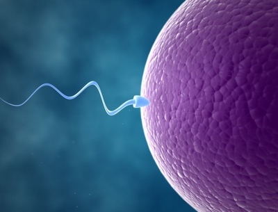 Аспермия - отсутствие сперматозоидов в эякуляте