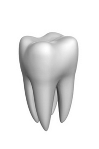 Что такое supra-anomalia зубов