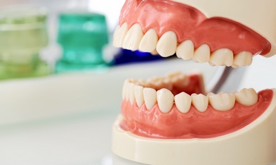 Классификация нормальных цветов зубов
