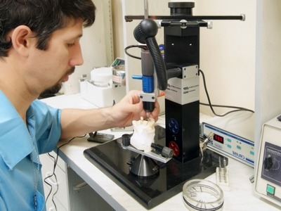 Изготовление аппарата в ортодонтической лаборатории