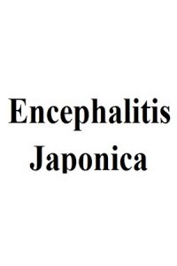 Японский энцефалит (encephalitis japonica)