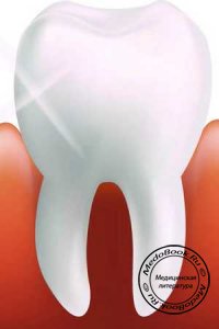 Структура поверхности зуба