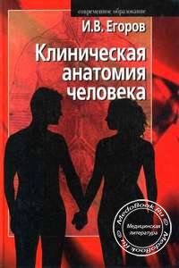 Обложка книги «Клиническая анатомия человека» Егорова И.В., изданной в 2003 году