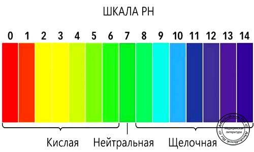 Шкала ph Шкала ph